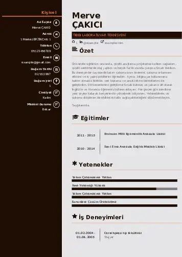 Laboratuvar Teknisyeni Cv Örnekleri cv indir